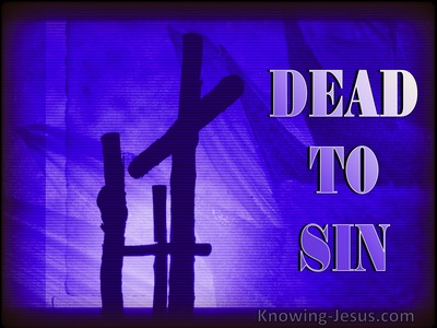 Romans 6:11 Dead to Sin (purple)